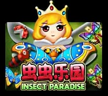 Insect Paradise